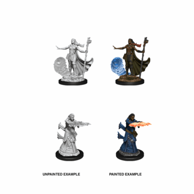 D&D Nolzur's Marvelous Miniatures - Human Wizard