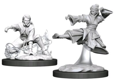 D&D Nolzur's Marvelous Miniatures - Human Monk