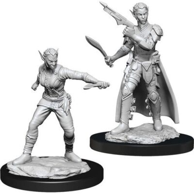 D&D Nolzur's Marvelous Miniatures - Shifter Rogue