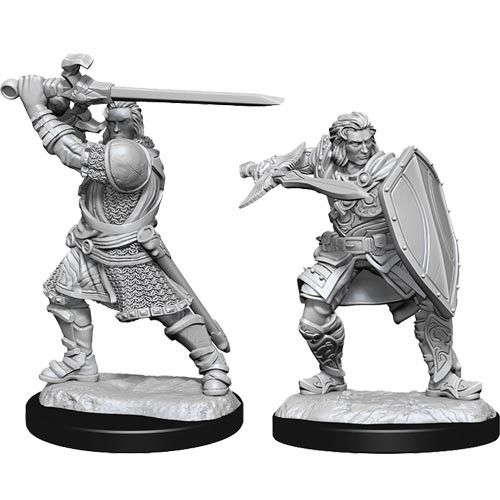 D&D Nolzur's Marvelous Miniatures - Human Paladin