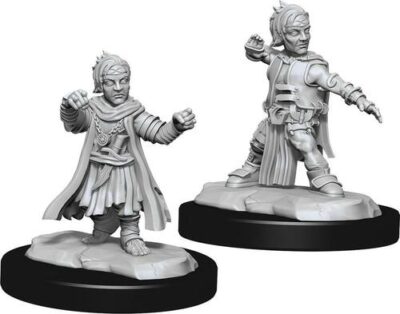 Pathfinder Deep Cuts - Male Halfling Monk