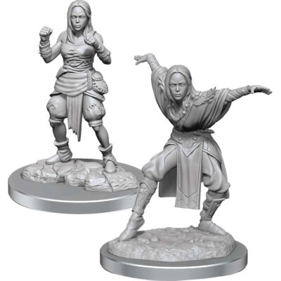 Pathfinder Battles Deep Cuts - Female Half-Elf Monk