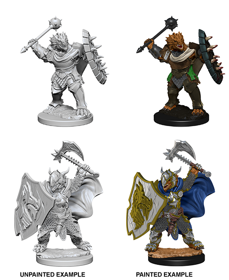 D&D Nolzur's Marvelous Miniatures - Dragonborn Paladin