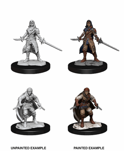 D&D Nolzur's Marvelous Miniatures - Half-Elf Rogue