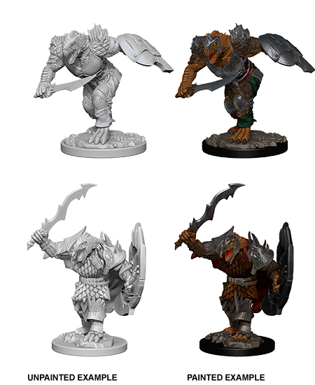 D&D Nolzur's Marvelous Miniatures - Dragonborn Fighter