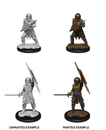 D&D Nolzur's Marvelous Miniatures - Human Fighter