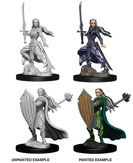 D&D Nolzur's Marvelous Miniatures - Elf Paladin
