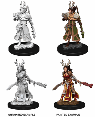 D&D Nolzur's Marvelous Miniatures - Human Druid