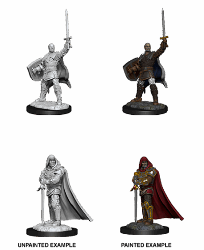 D&D Nolzur's Marvelous Miniatures - Human Paladin