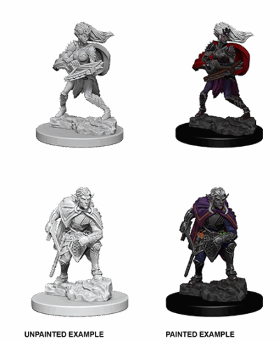 D&D Nolzur's Marvelous Miniatures - Drow