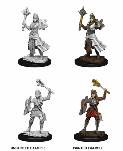 D&D Nolzur's Marvelous Miniatures - Human Cleric