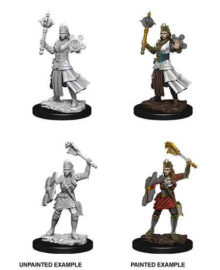 D&D Nolzur's Marvelous Miniatures - Human Cleric