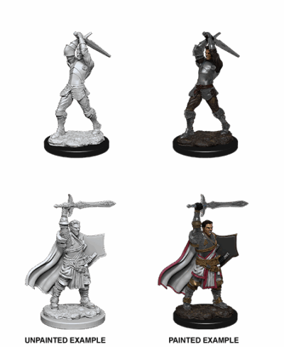 D&D Nolzur's Marvelous Miniatures - Human Paladin