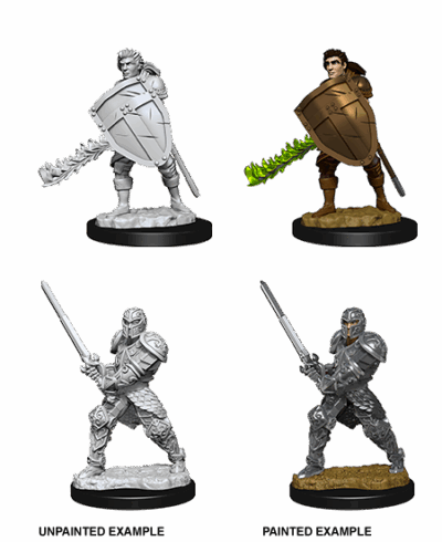 D&D Nolzur's Marvelous Miniatures - Human Fighter