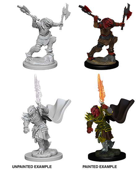 D&D Nolzur's Marvelous Miniatures - Dragonborn Fighter